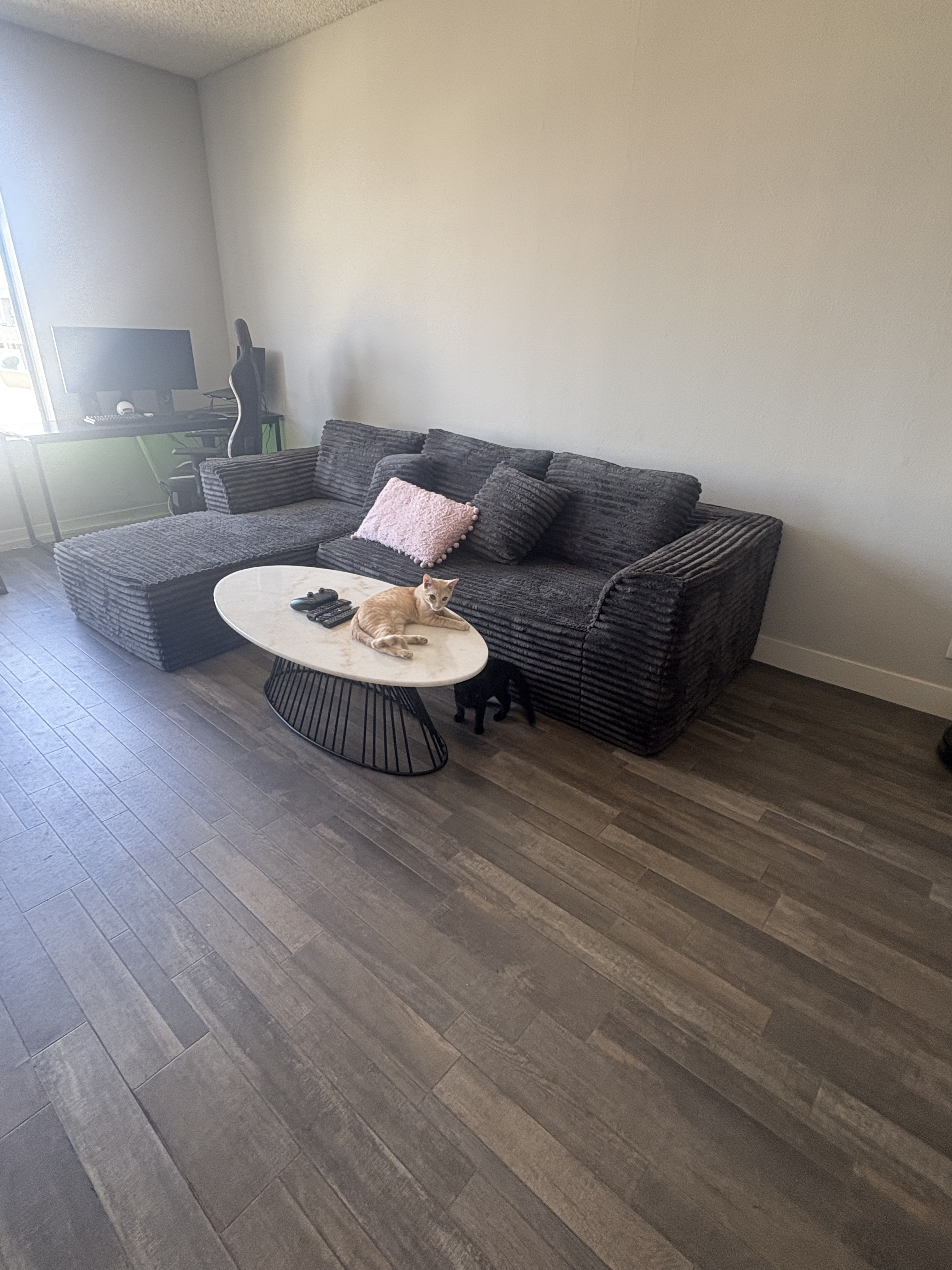 Apartment photo 3
